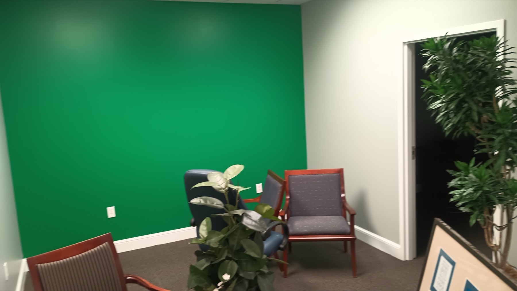 Commercial Office Repaint & Accent Wall